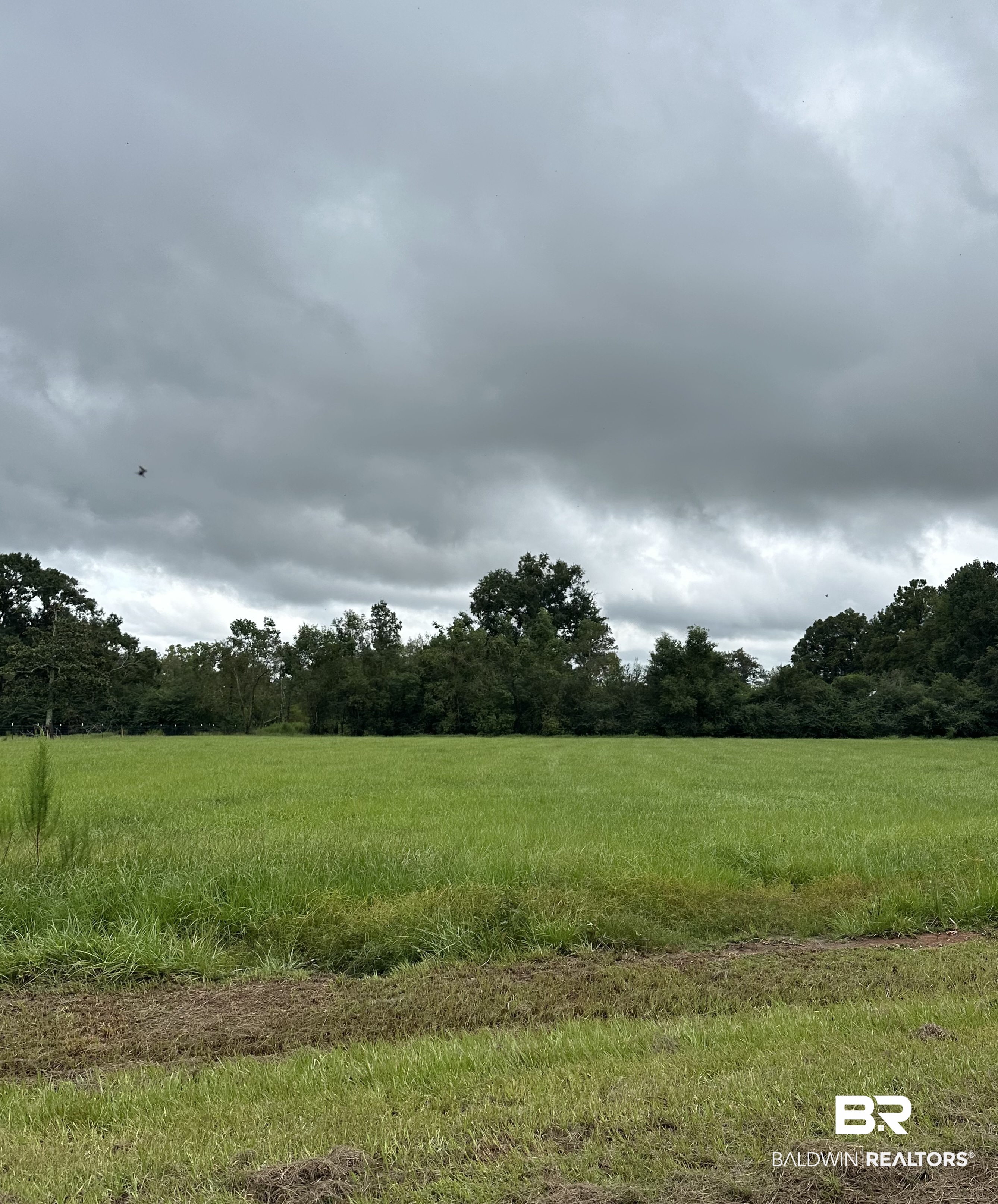 Stapleton Alabama Homes For Sale