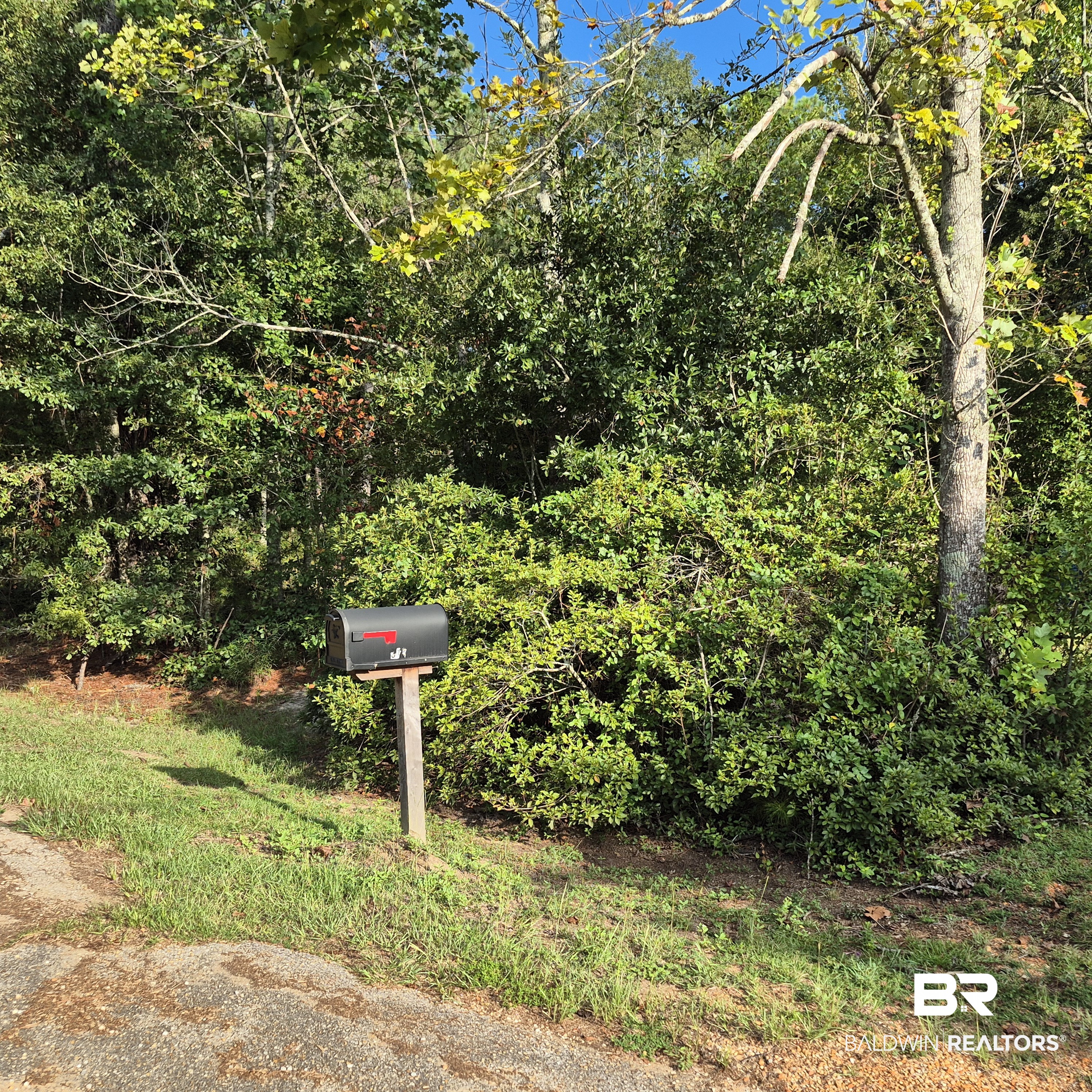 Photo 38 of Townhouse for sale at 319 Sherwood Dr, Monroeville, AL 36460 | MLS# 410604 | Listing updated on 2026-09-14