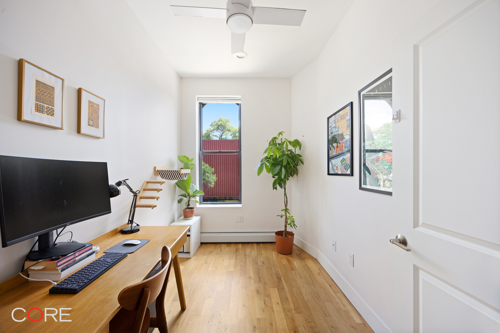 236 Lewis Avenue Stuyvesant Heights Brooklyn NY 11221