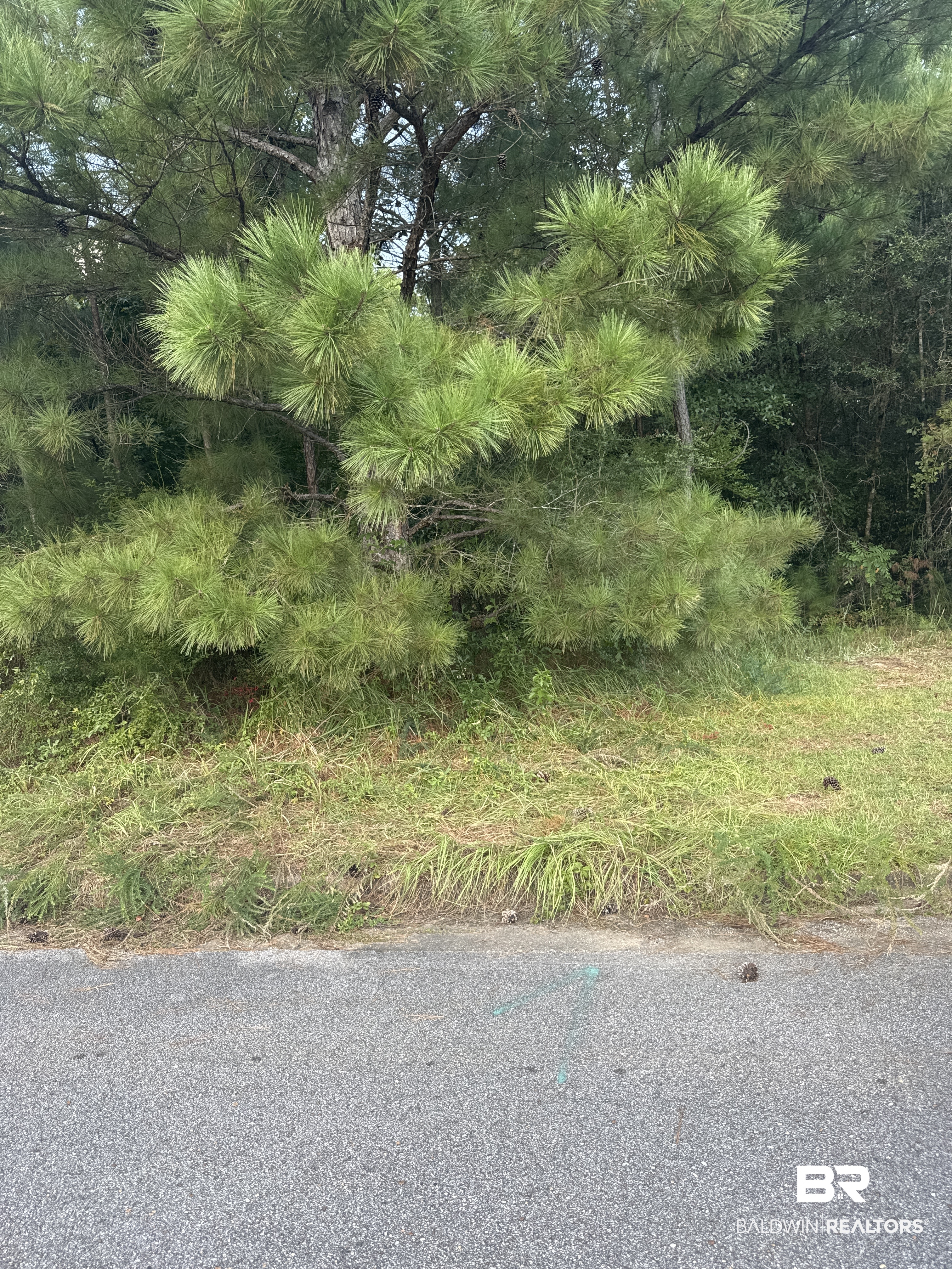 410650 | Photo 2