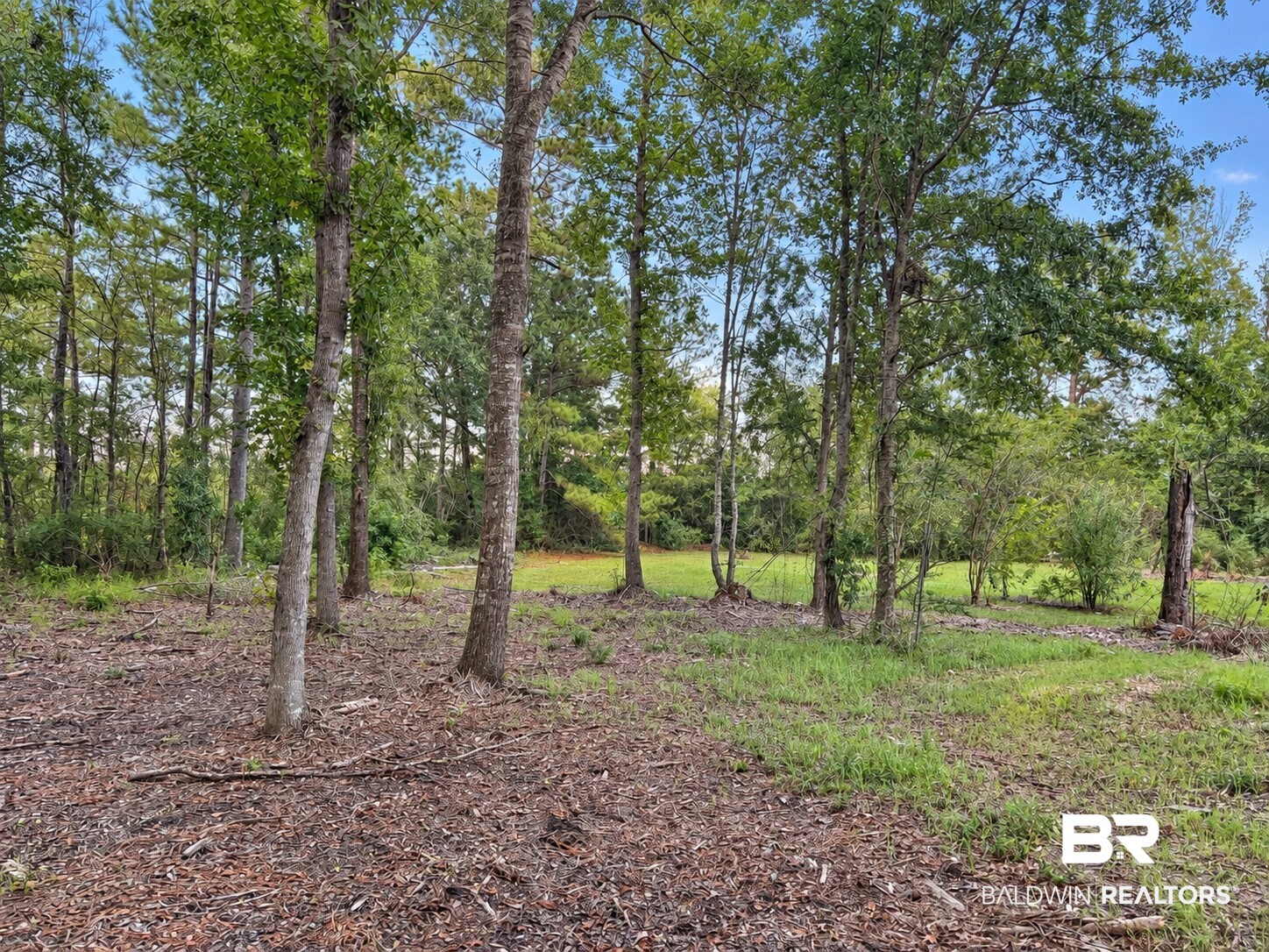 Photo 2 of Land for sale at 0 Denny St, Mount Vernon, AL 36560 | MLS# 410628 | Listing updated on 2026-09-16