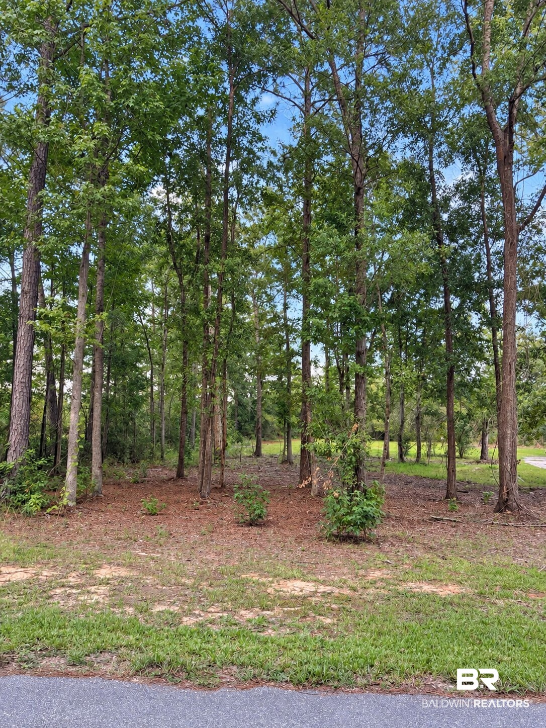 Photo 4 of Land for sale at 0 Denny St, Mount Vernon, AL 36560 | MLS# 410628 | Listing updated on 2026-09-16