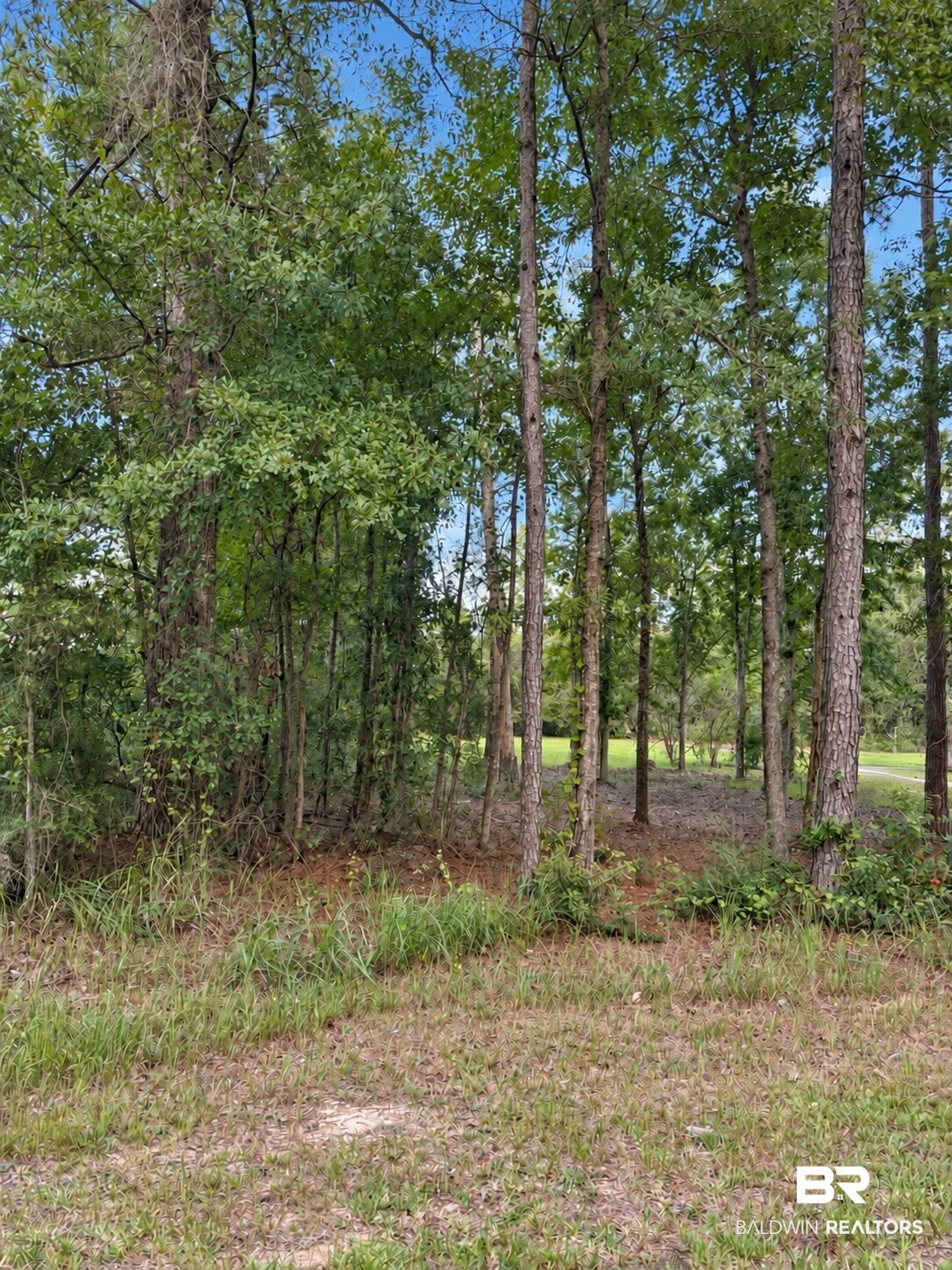 Photo 3 of Land for sale at 0 Denny St, Mount Vernon, AL 36560 | MLS# 410628 | Listing updated on 2026-09-16