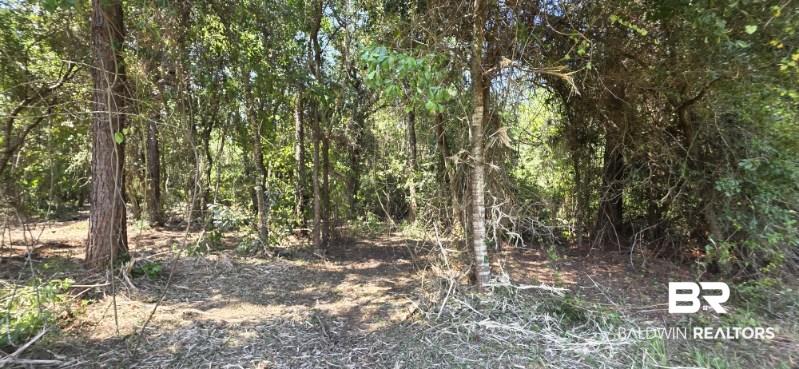 Photo 3 of Land for sale at 21373 Ima Brill Loop, Robertsdale, AL 36567 | MLS# 409991 | Listing updated on 2026-09-16