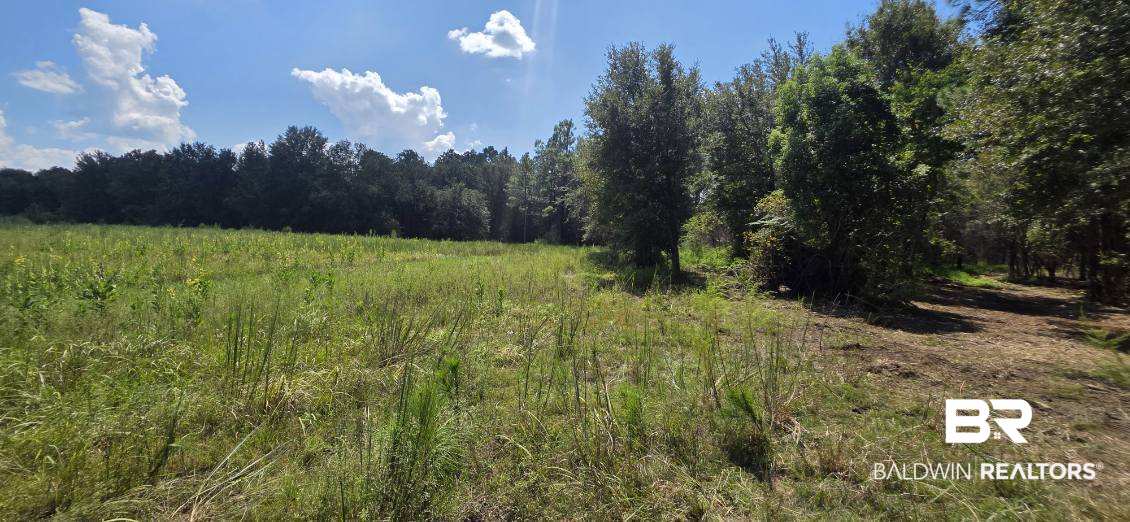 Photo 4 of Land for sale at 21373 Ima Brill Loop, Robertsdale, AL 36567 | MLS# 409991 | Listing updated on 2026-09-16