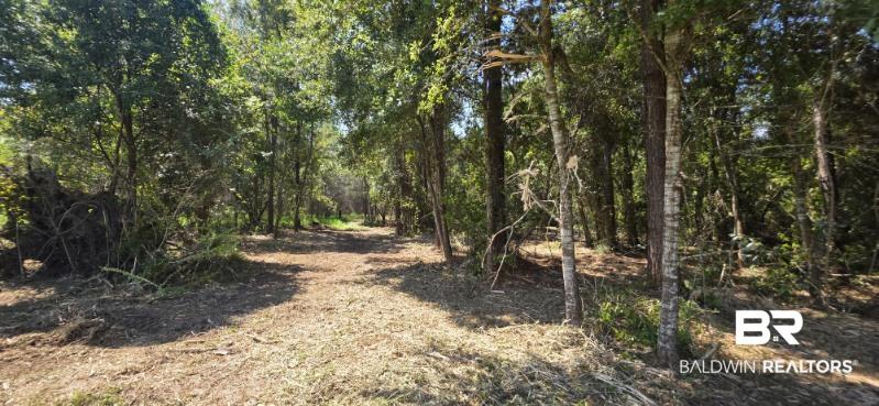 Photo 3 of Land for sale at 21373 Ima Brill Loop, Robertsdale, AL 36567 | MLS# 409991 | Listing updated on 2026-09-16