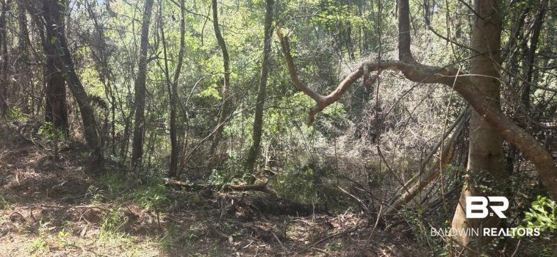 Photo 2 of Land for sale at 21373 Ima Brill Loop, Robertsdale, AL 36567 | MLS# 409991 | Listing updated on 2026-09-16