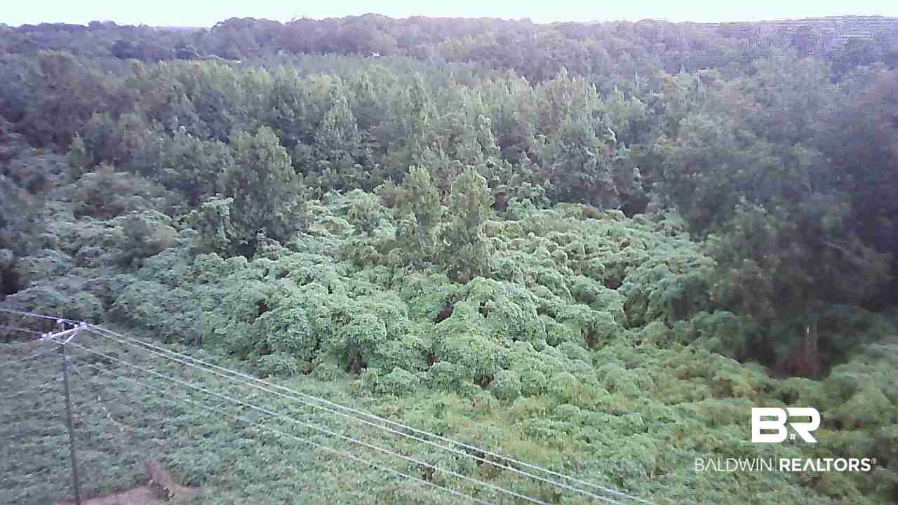 410803 | Photo 7