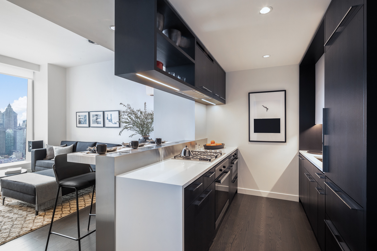 252 South Street 68L Lower East Side New York NY 10002