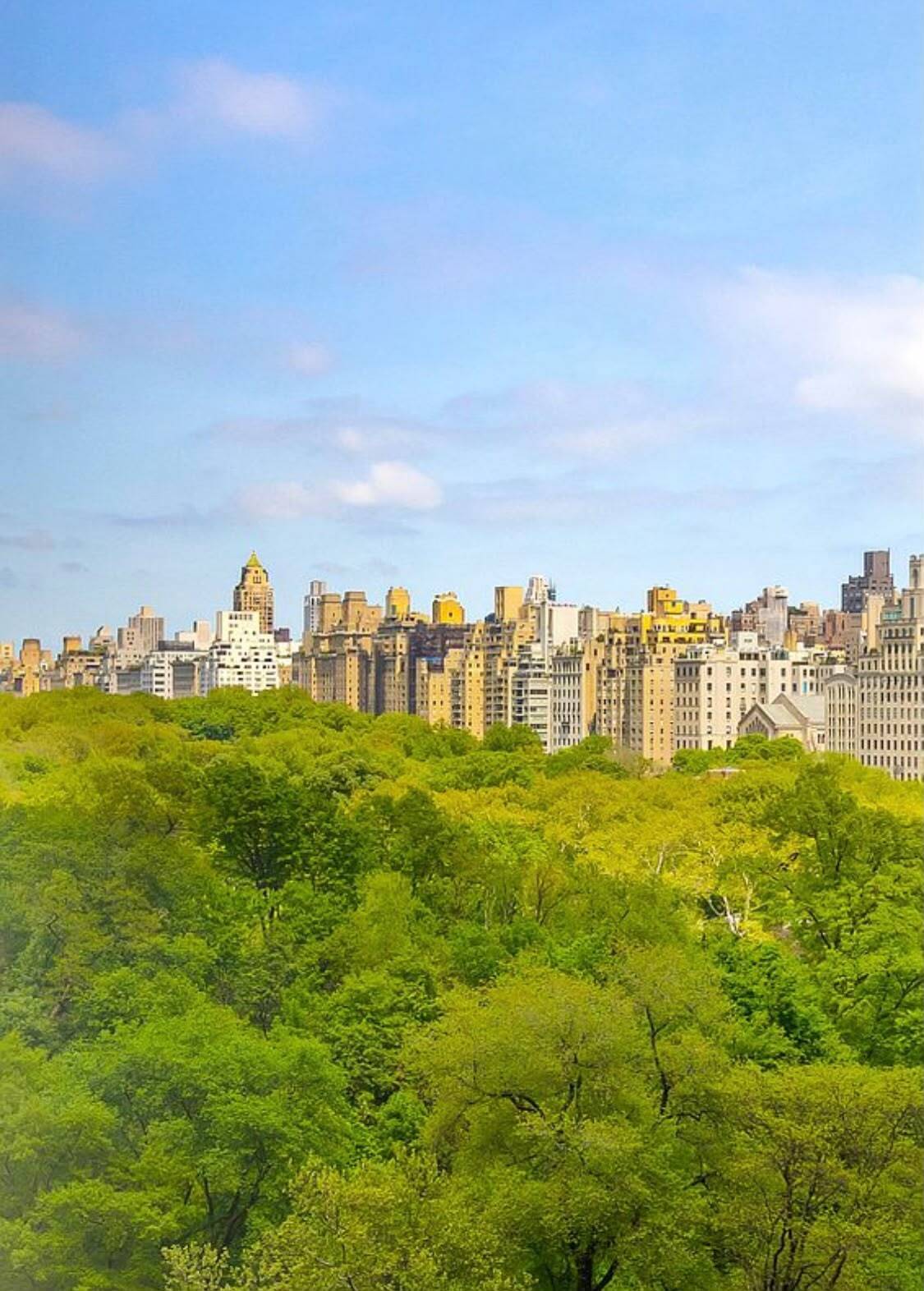 106 Central Park South Central Park South New York NY 10019