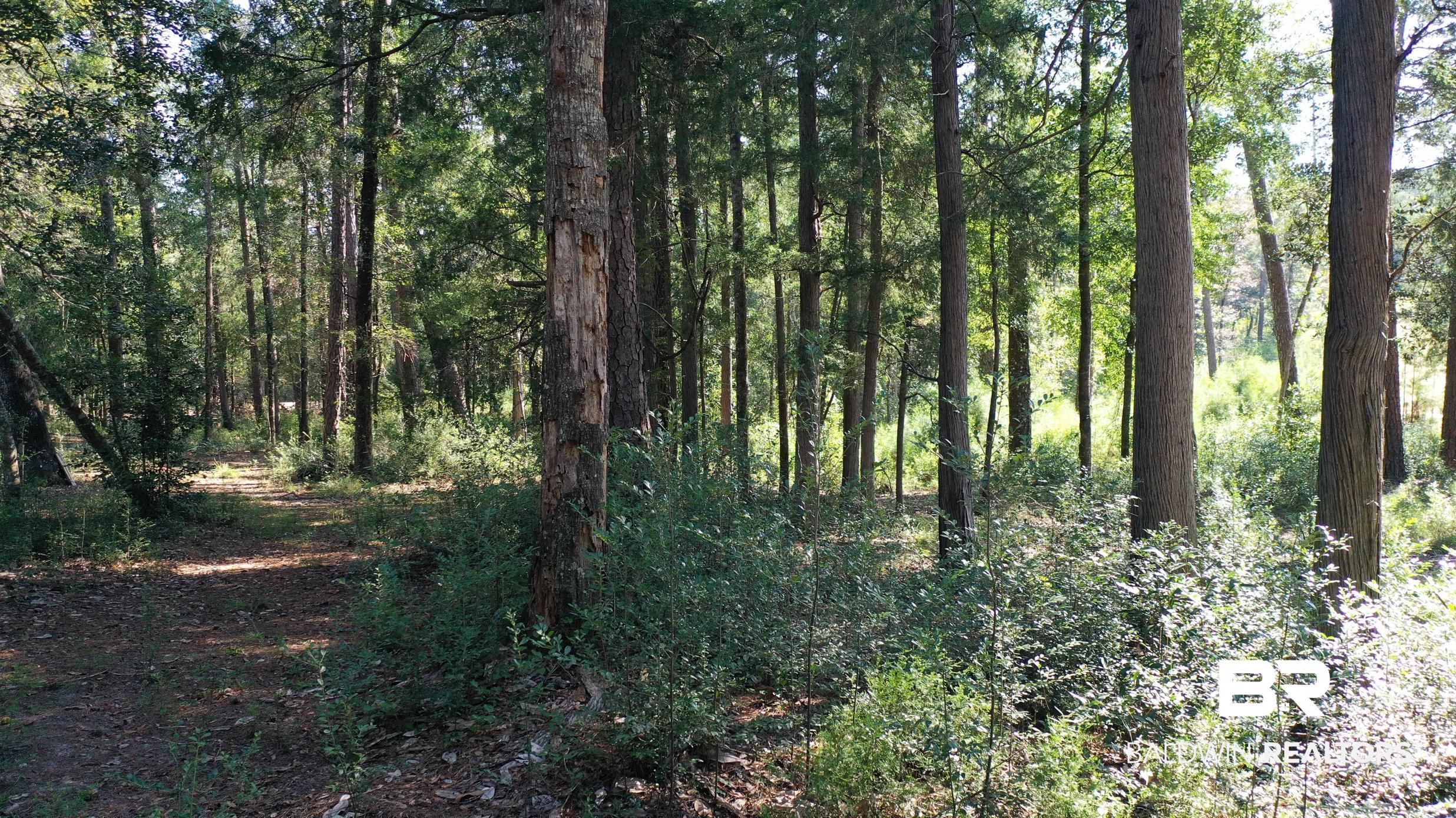 411006 | Photo 23