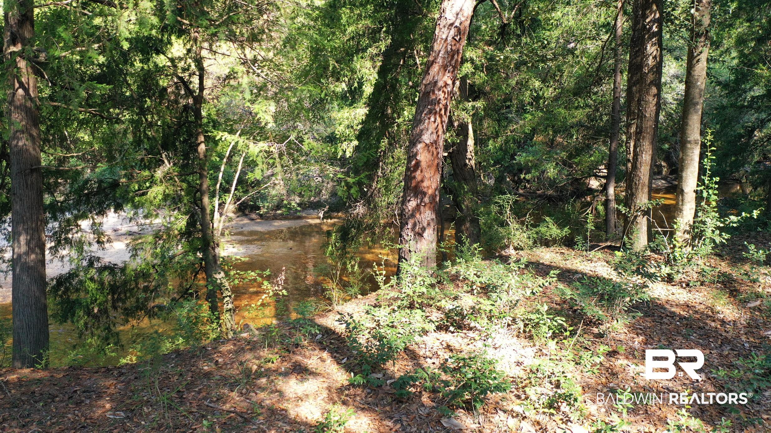 411006 | Photo 28
