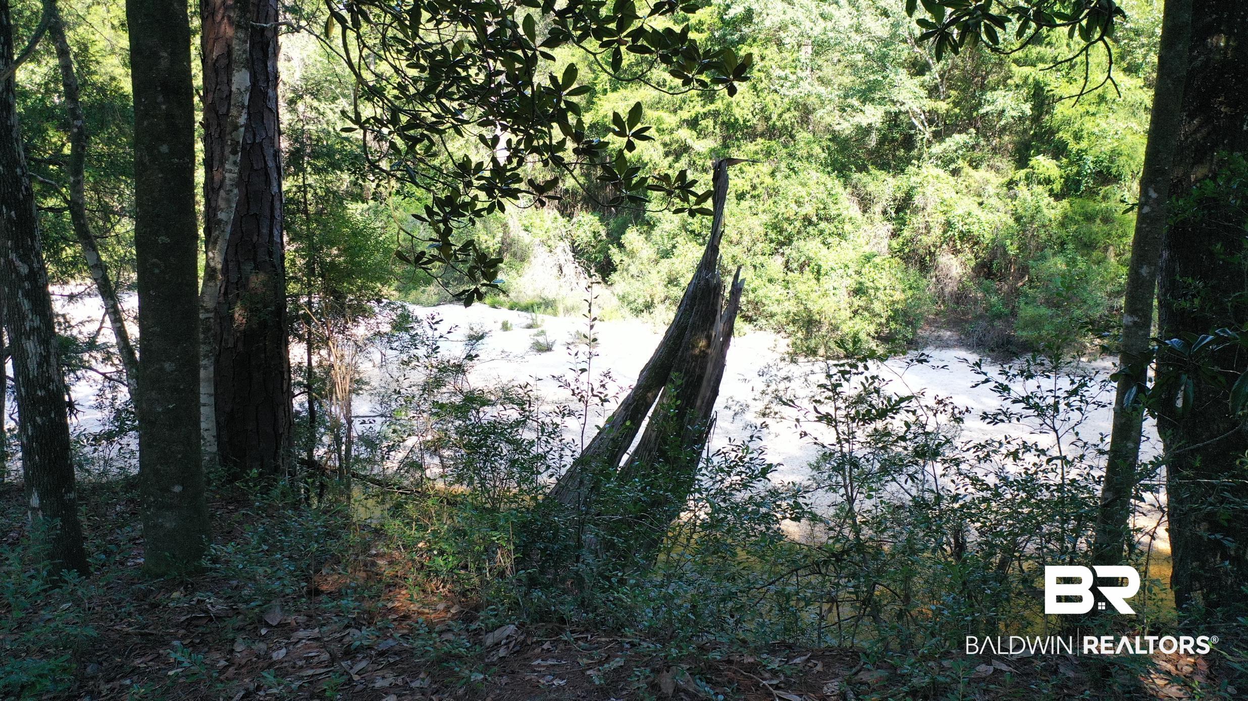 411006 | Photo 25