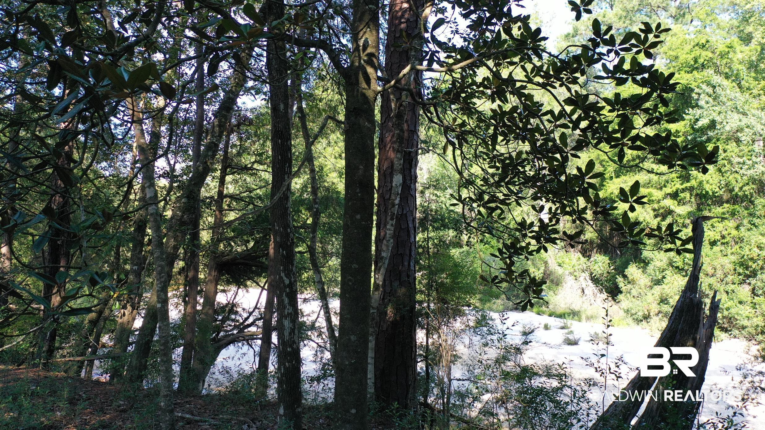 411006 | Photo 26