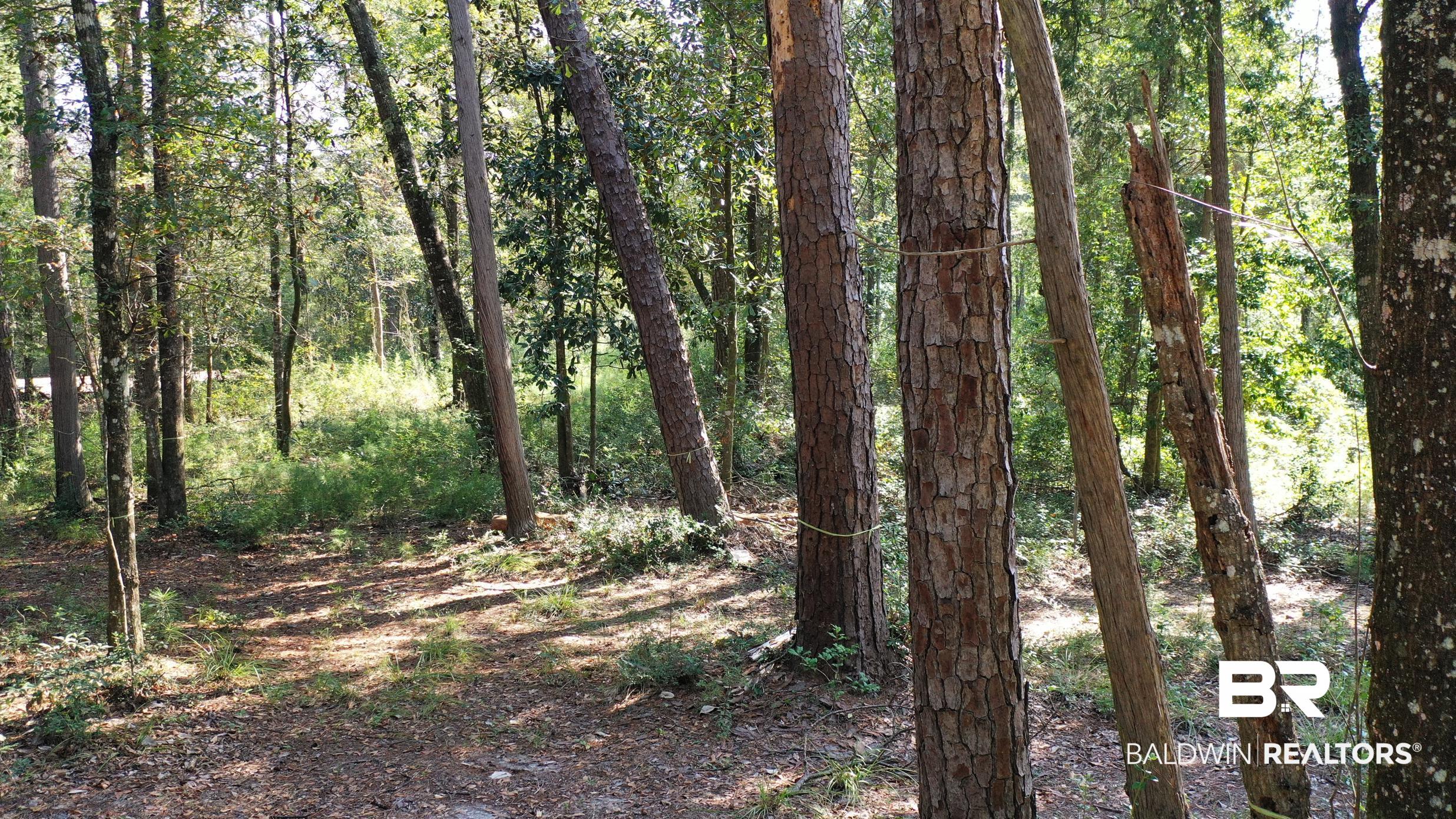 411006 | Photo 29
