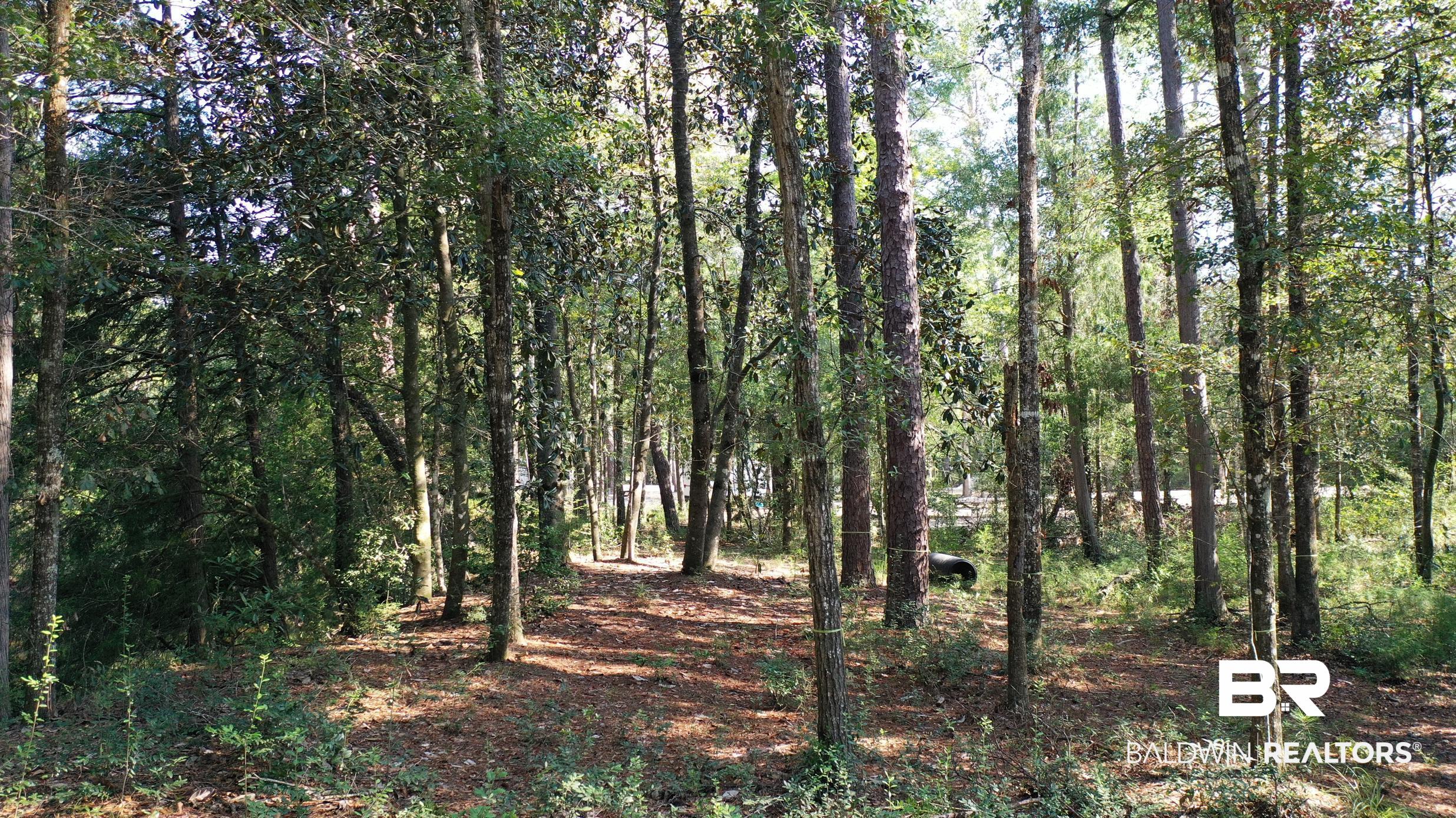 411006 | Photo 27