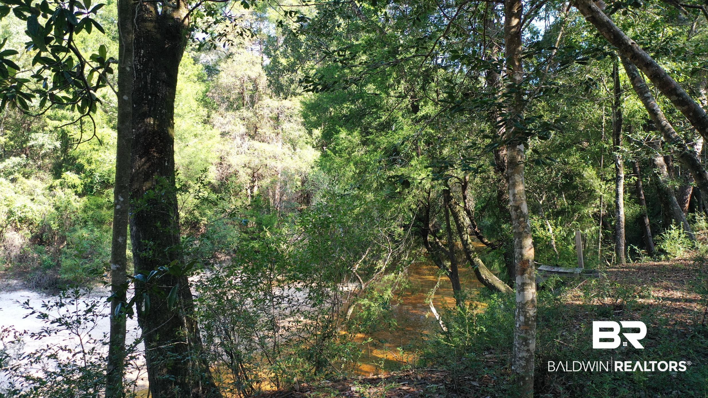 411006 | Photo 24