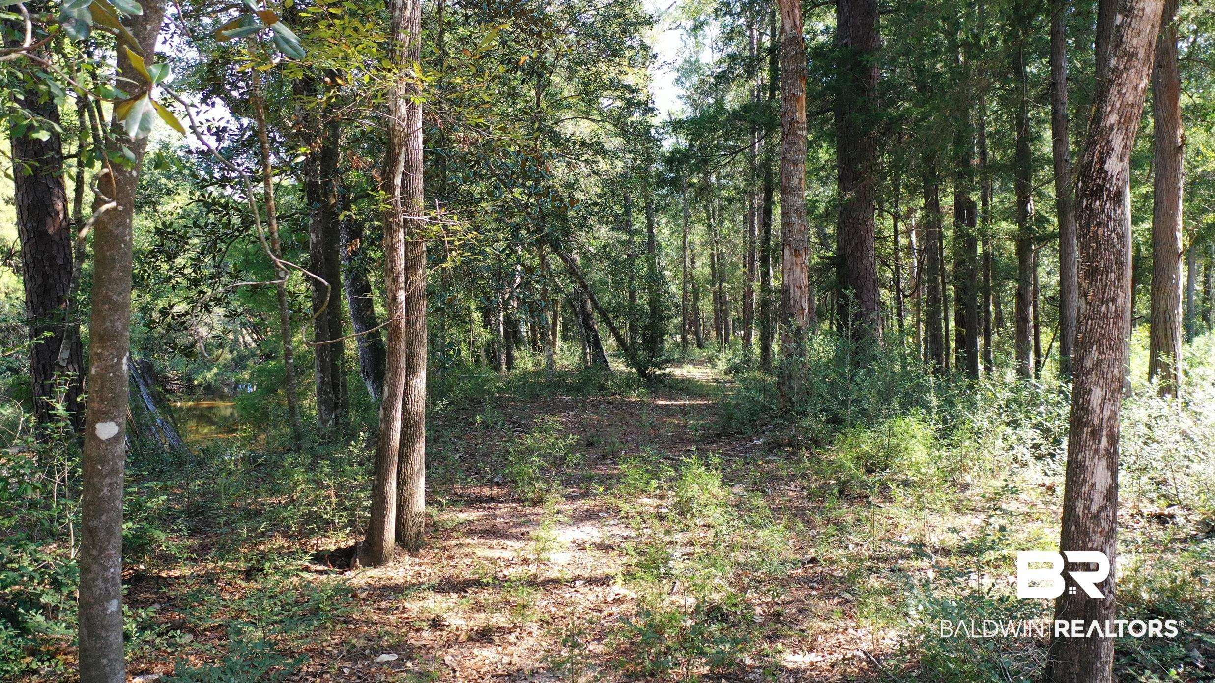 411006 | Photo 22