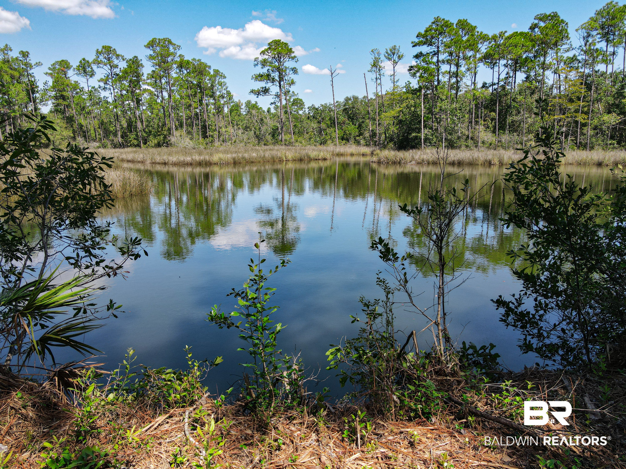 Elberta, AL Real Estate And Homes For Sale