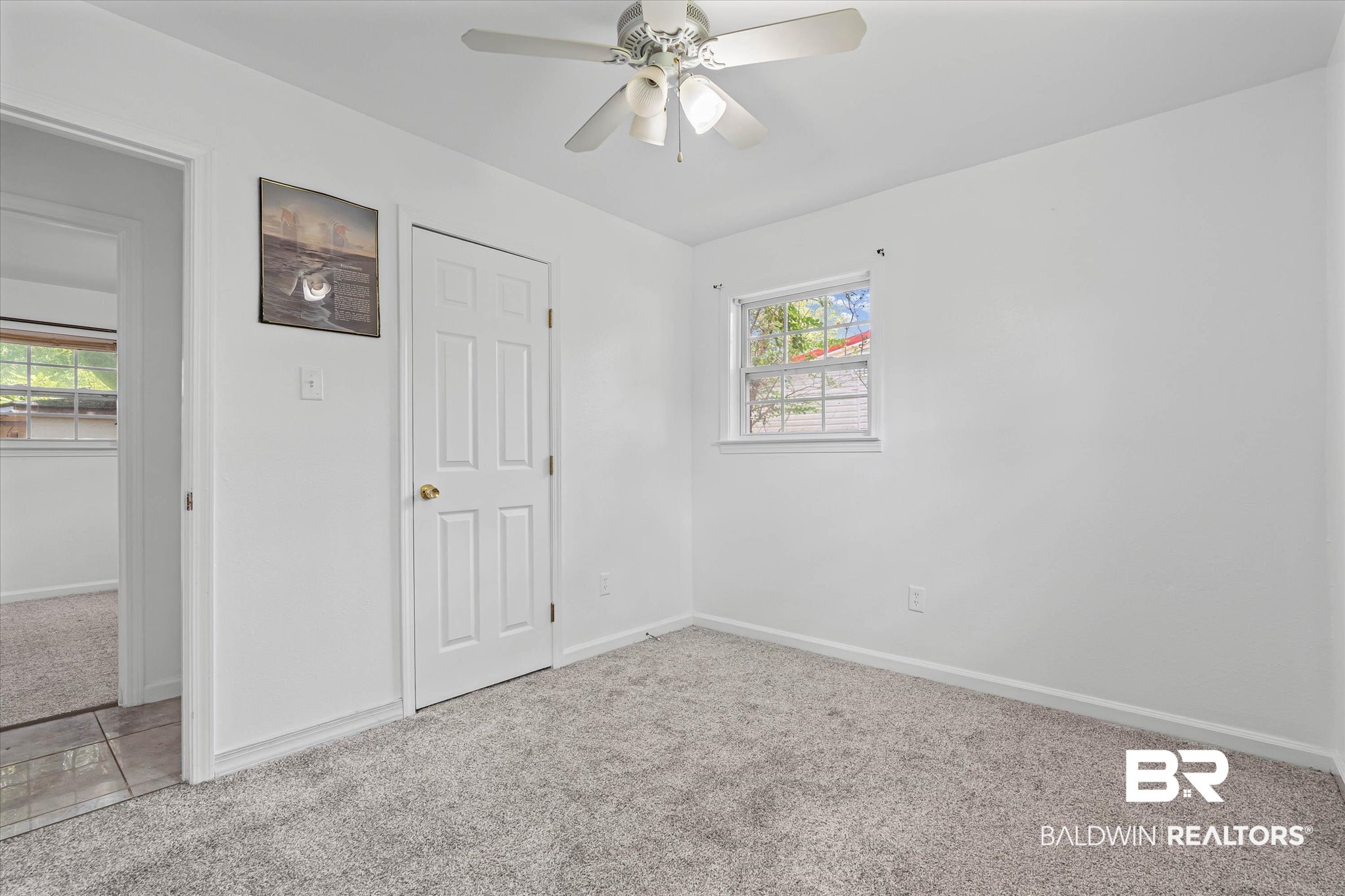 411101 | Photo 10