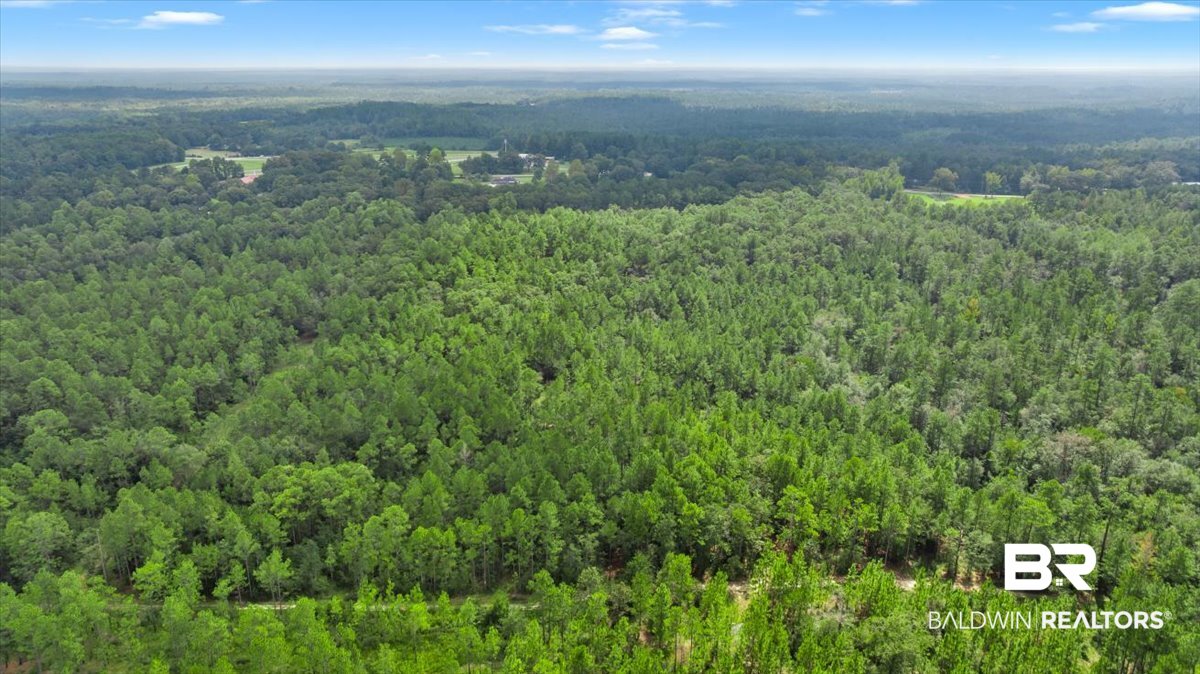 409285 | Photo 8
