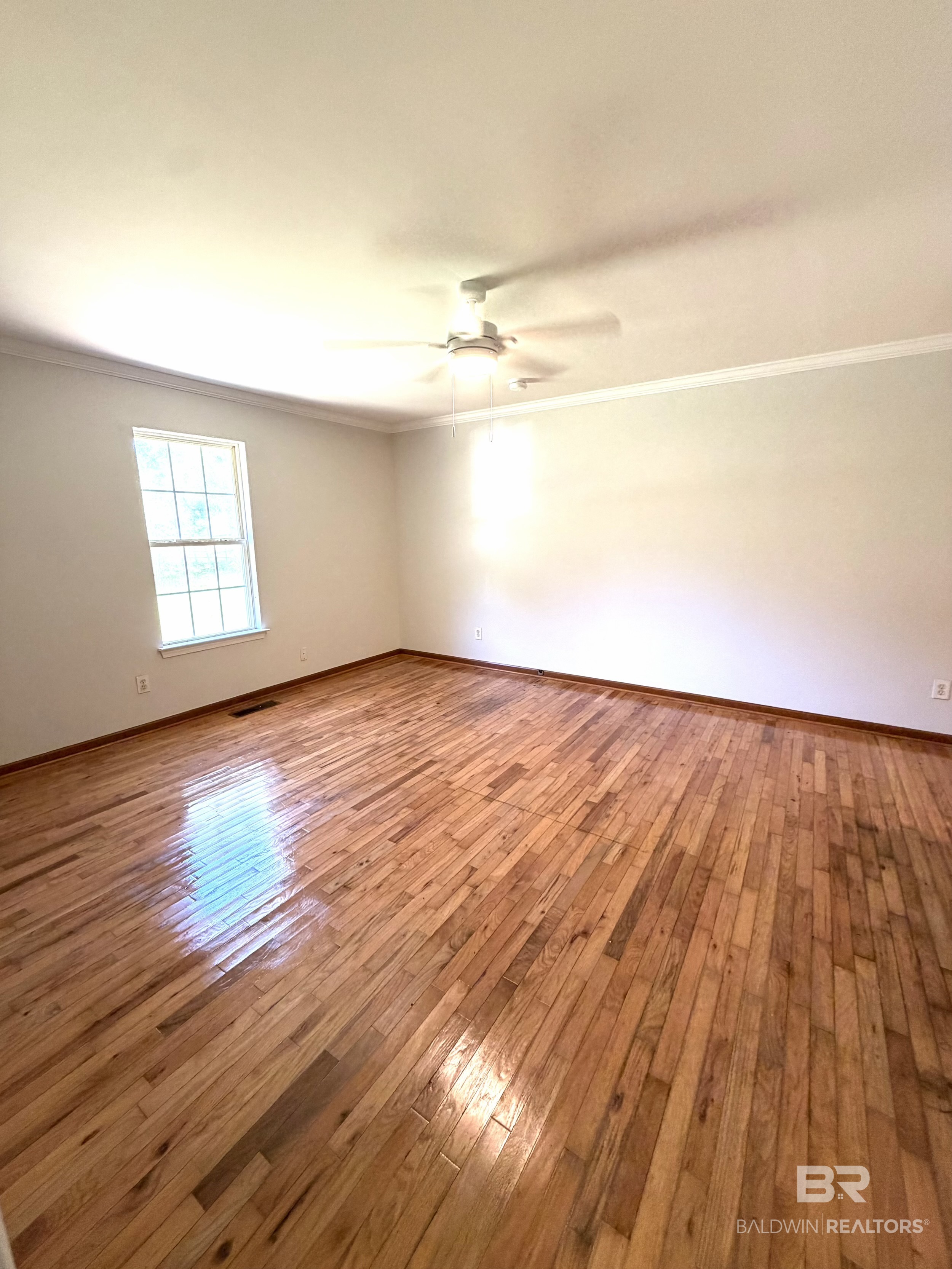 411281 | Photo 11