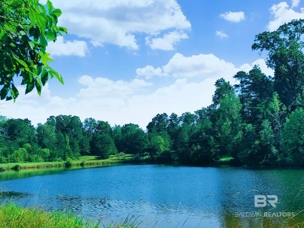 411235 | Photo 2