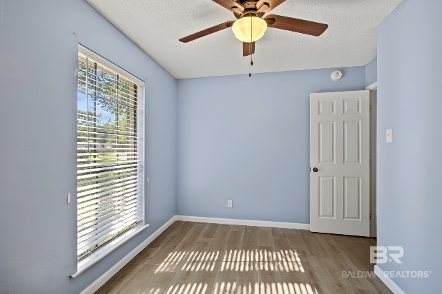 411353 | Photo 20