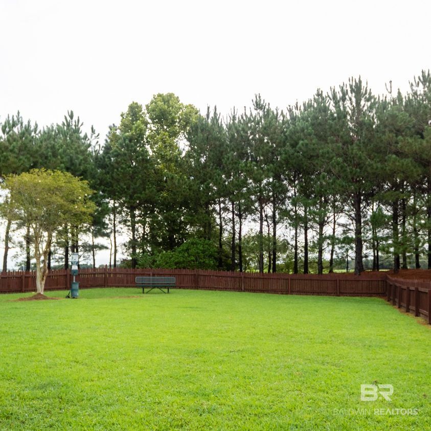 411418 | Photo 22