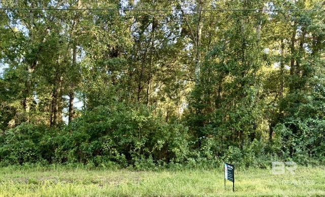 411433 | Photo 3