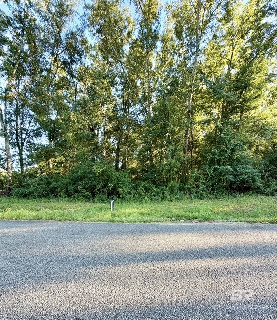 411433 | Photo 2
