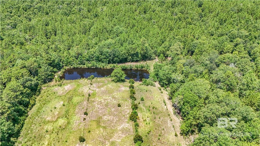 Photo 4 of Single family home for sale at 13151 Roberts Rd, Chunchula, AL 36521 | MLS# 399212 | Listing updated on 2026-10-05