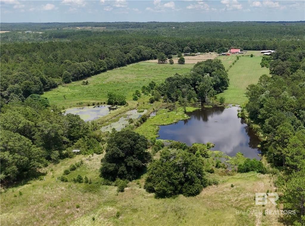 Photo 3 of Single family home for sale at 13151 Roberts Rd, Chunchula, AL 36521 | MLS# 399212 | Listing updated on 2026-10-05