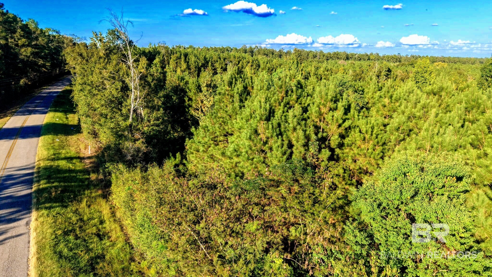 411361 | Photo 18