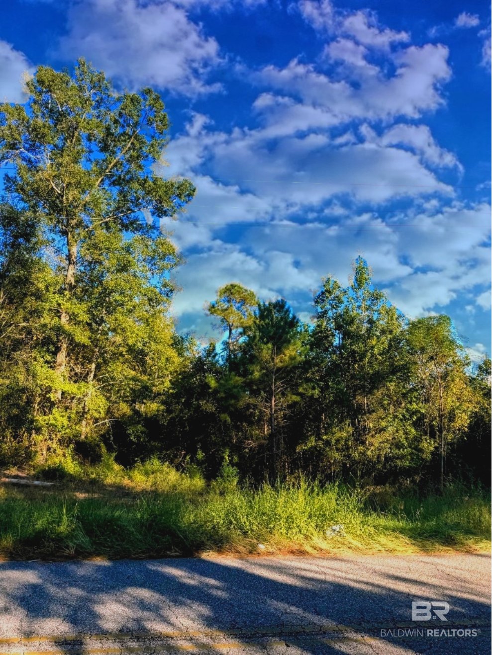411361 | Photo 23