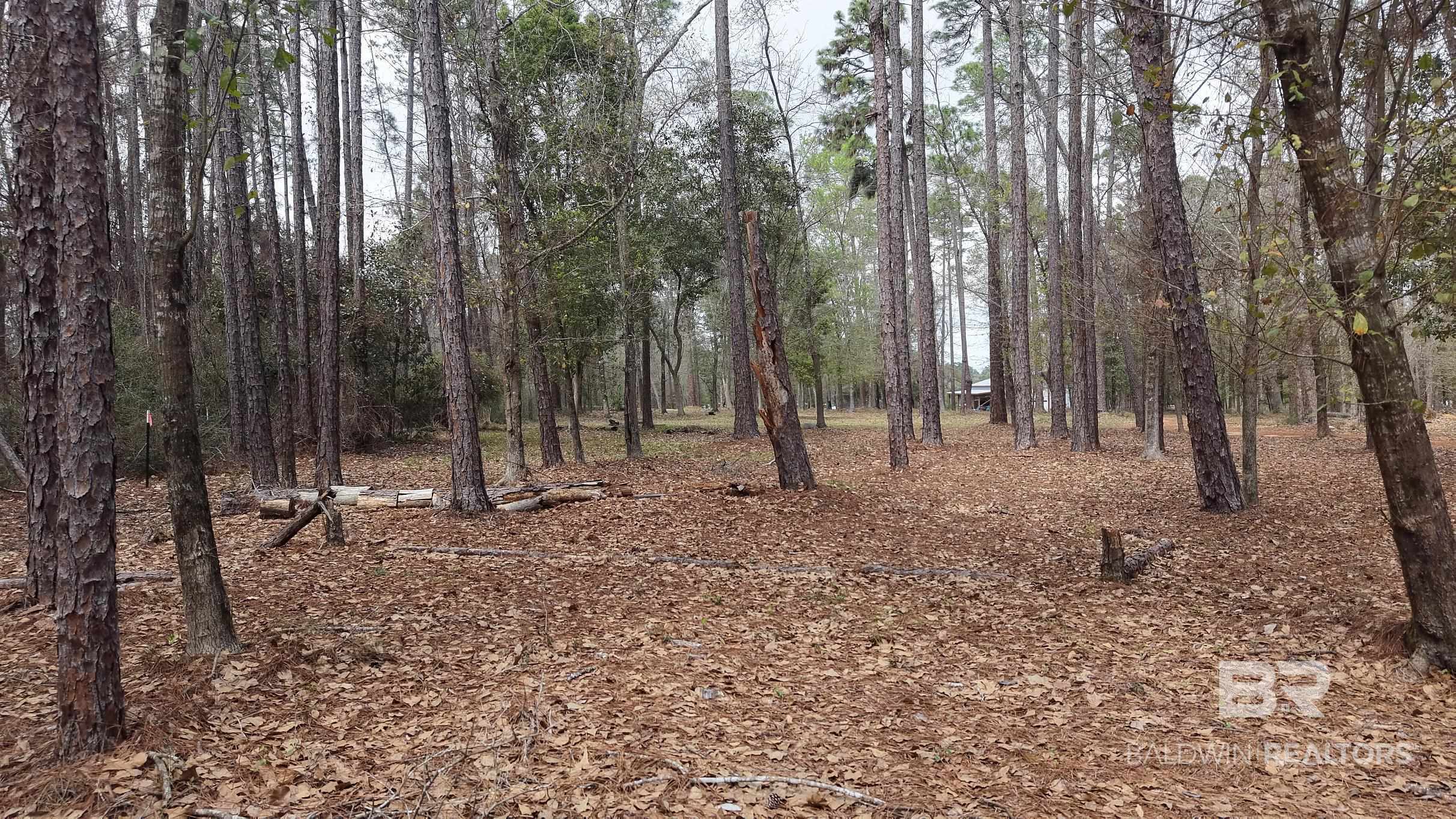 411448 | Photo 22