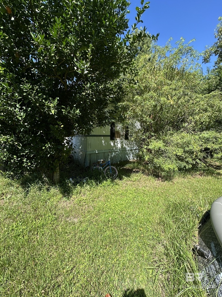 411453 | Photo 3
