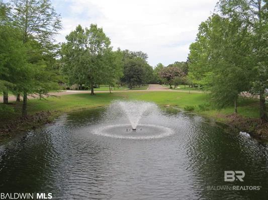 411470 | Photo 2