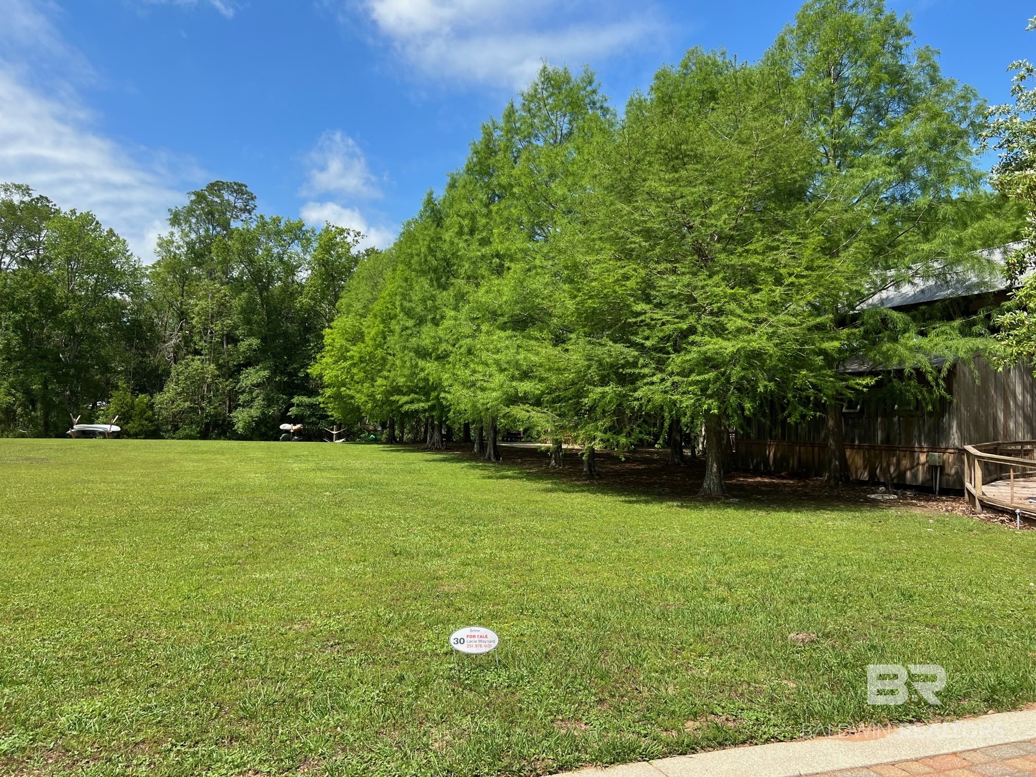 411470 | Photo 7