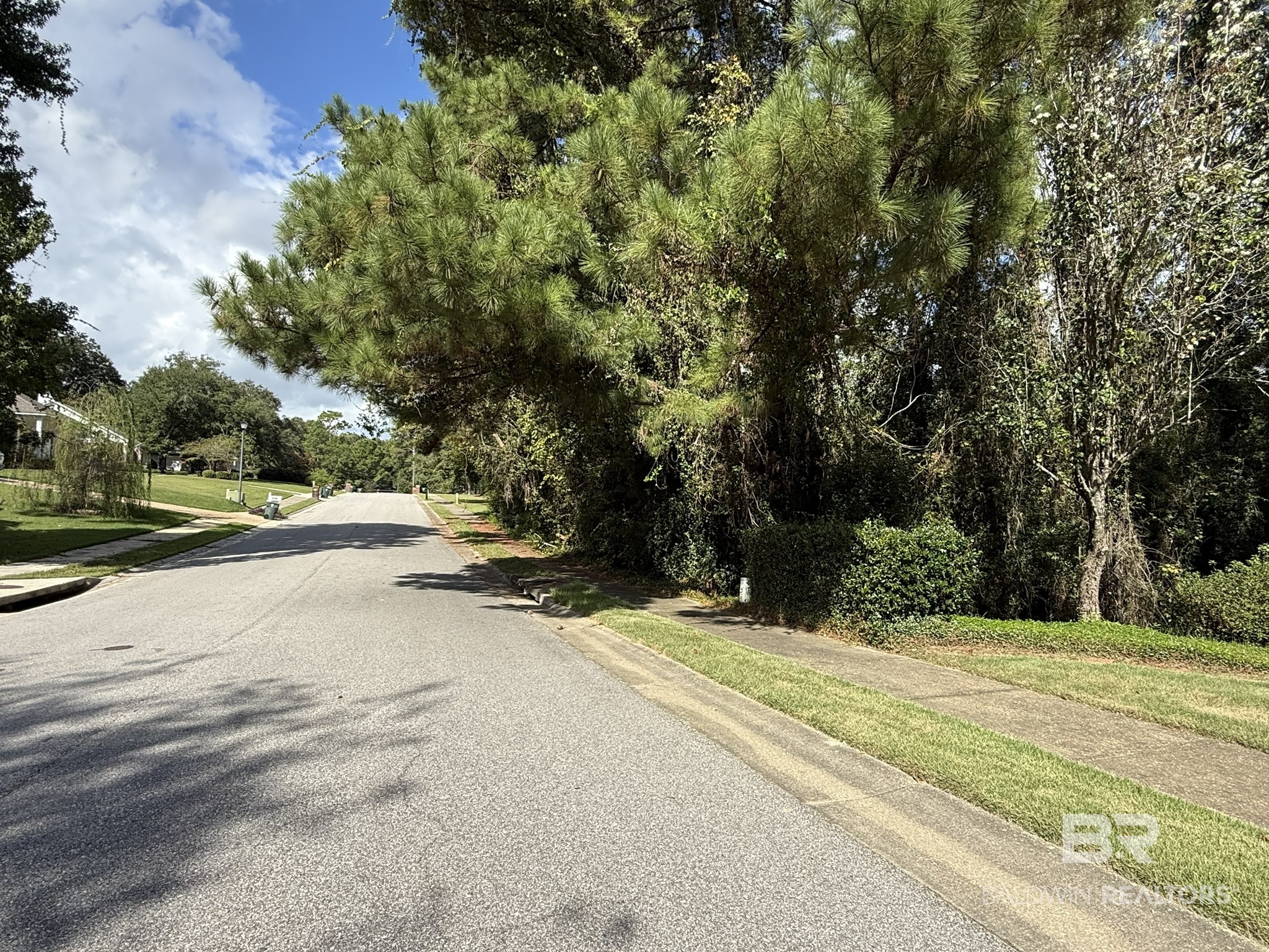 Commercial Property for Sale - Daphne