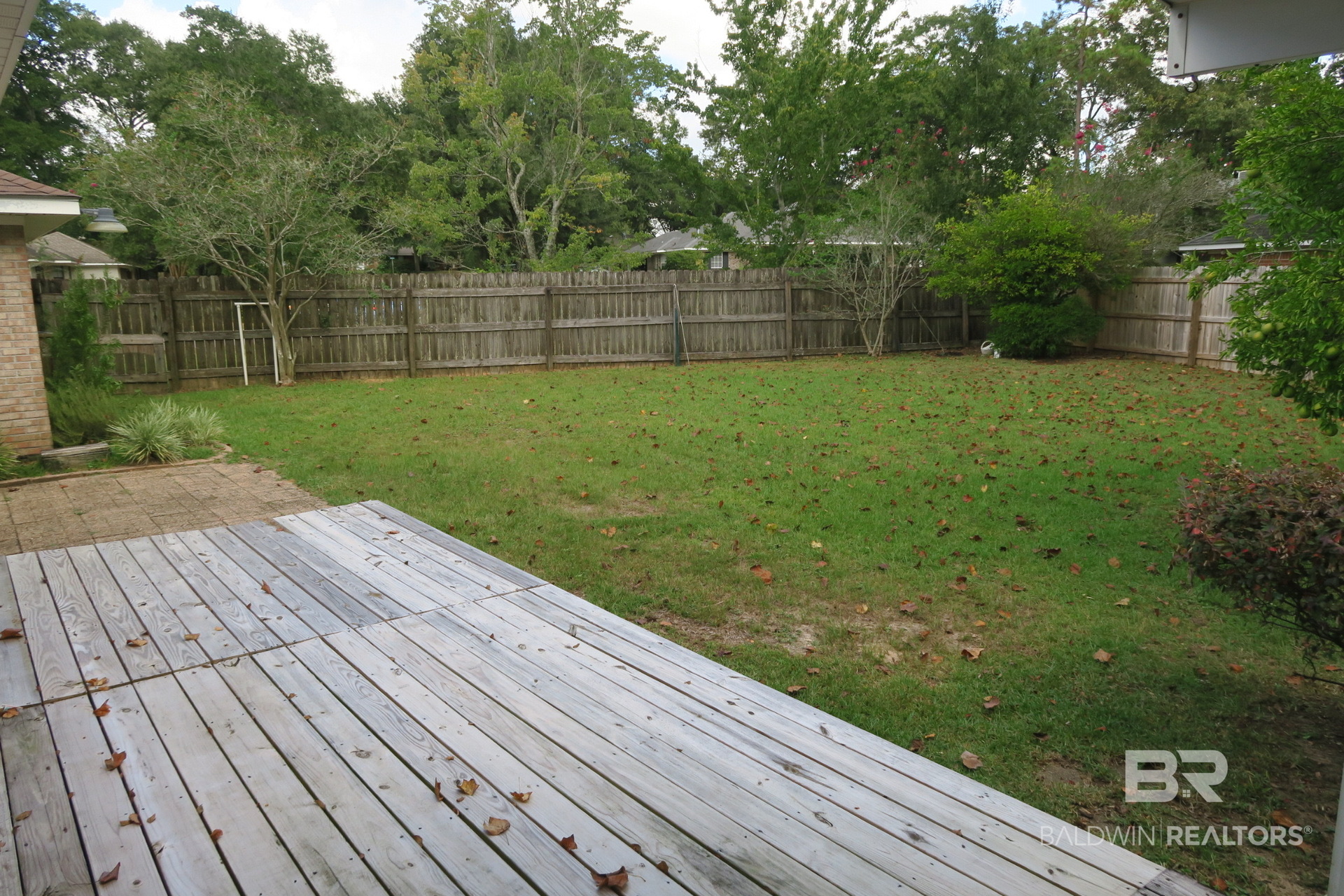 411436 | Photo 22