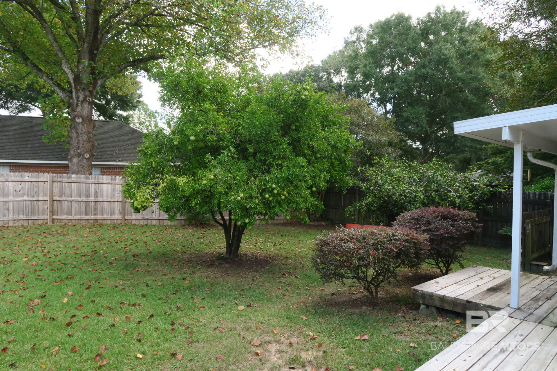 411436 | Photo 21