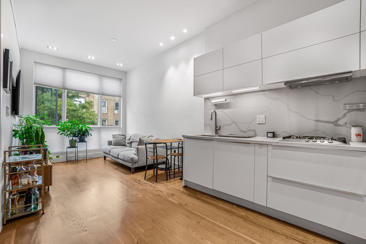 679 Franklin Avenue 202 Crown Heights Brooklyn NY 11238