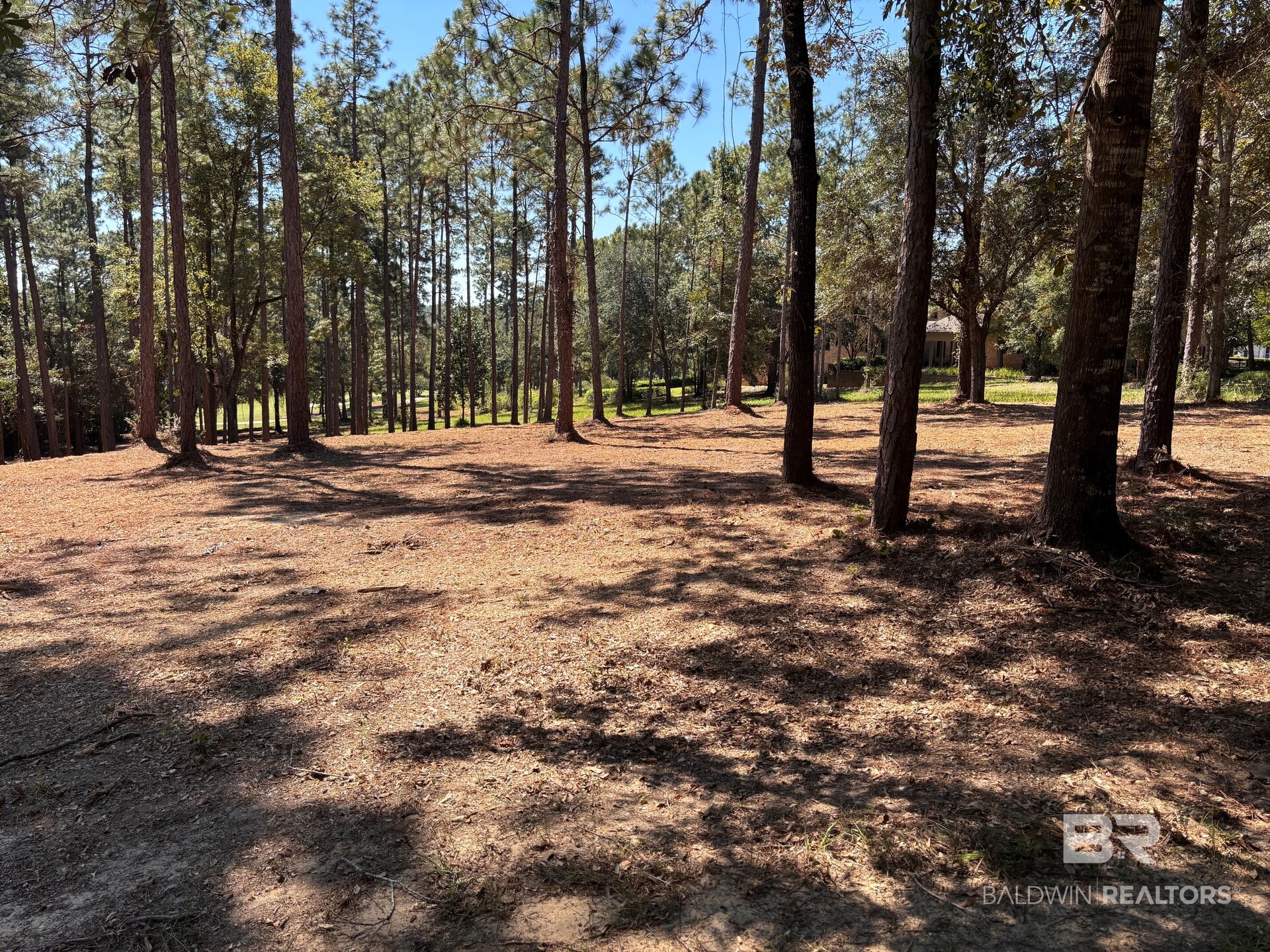 Land for sale at 0 W Water View Dr, Loxley, AL 36551 | MLS# 397503