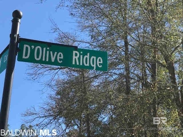 411568 | Photo 2