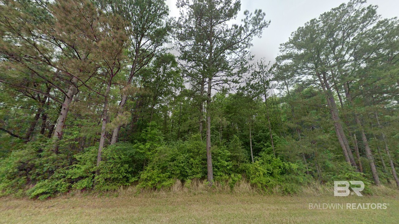 411593 | Photo 2