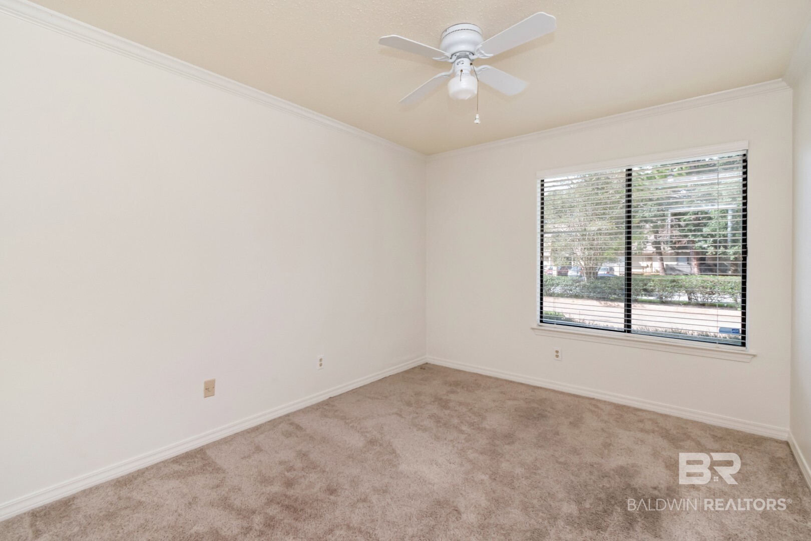 411312 | Photo 27
