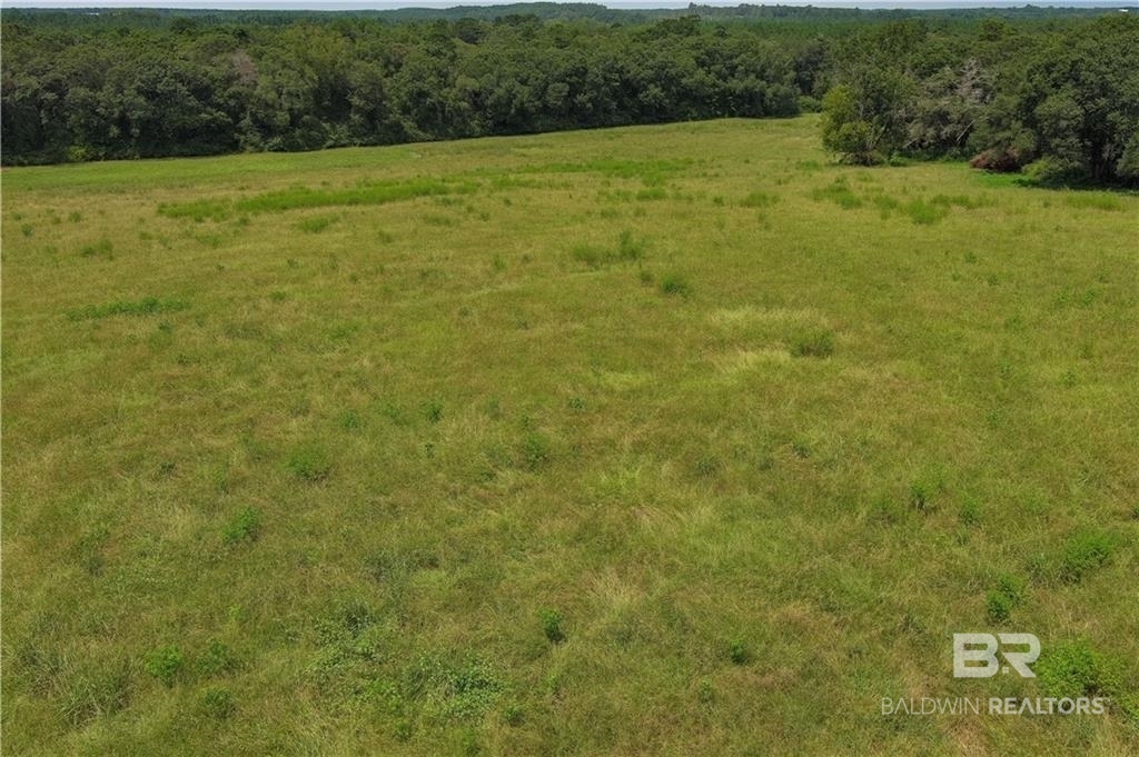411694 | Photo 9