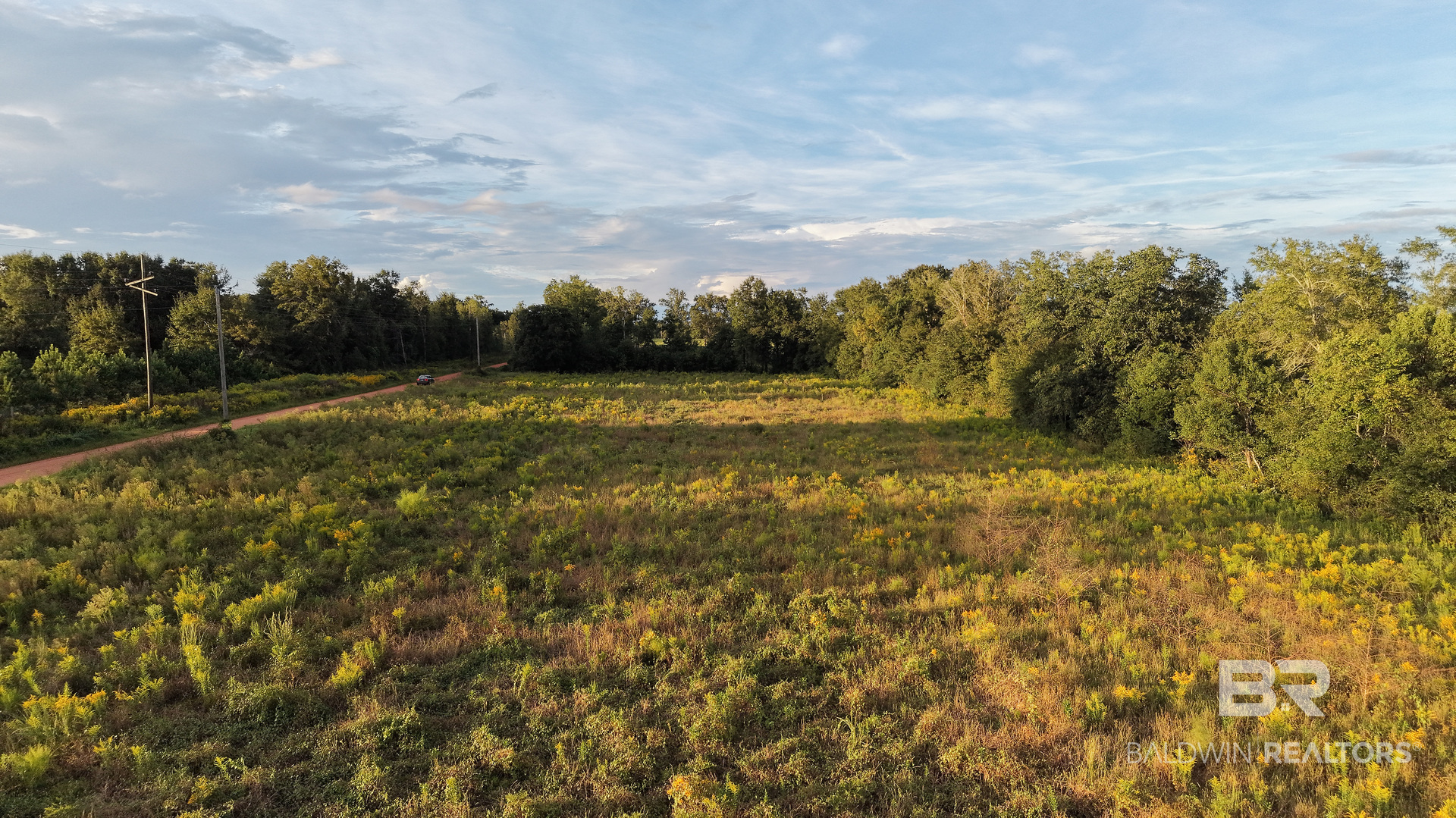 399249 | Photo 11