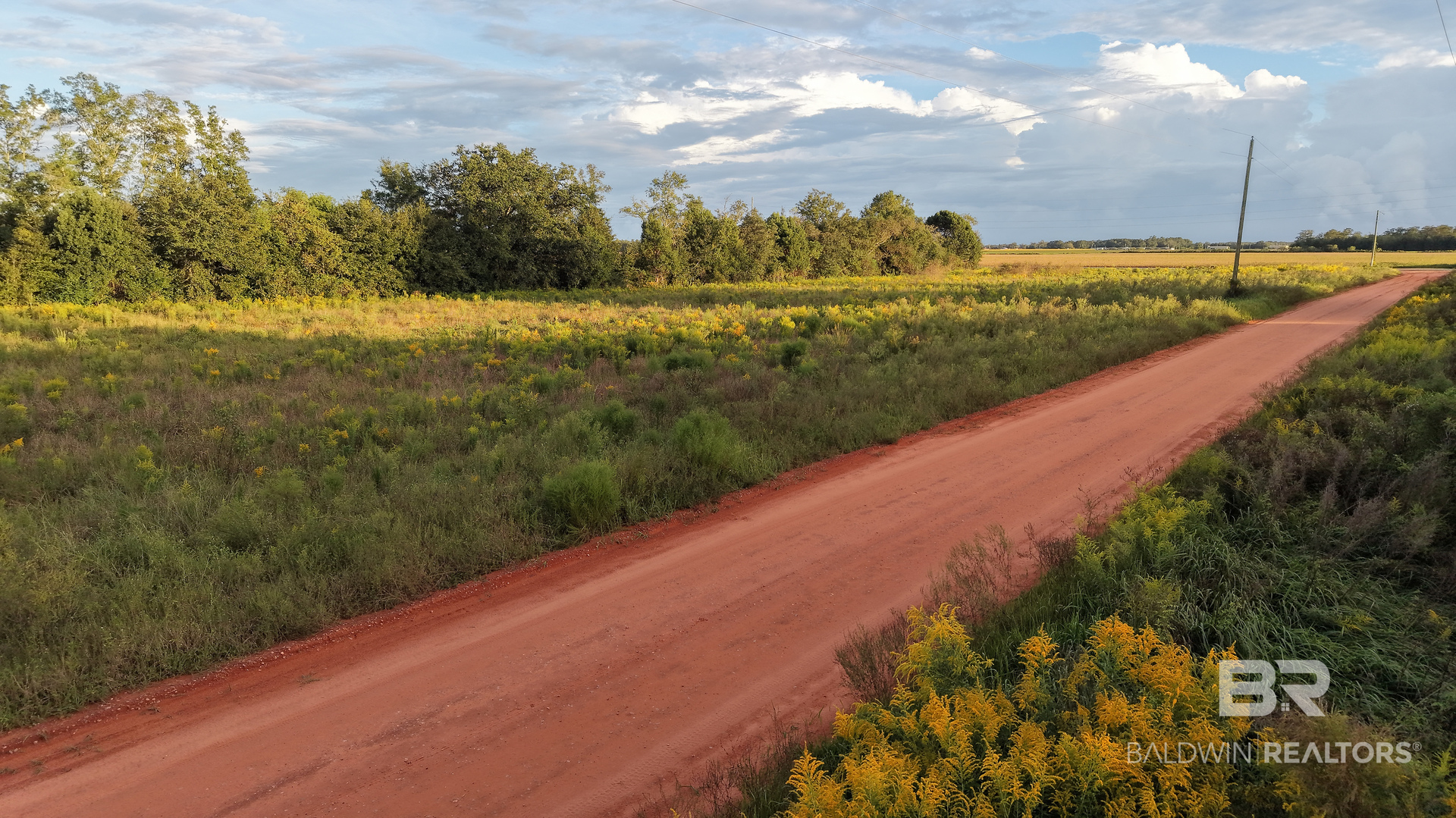 399249 | Photo 15